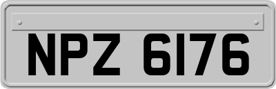 NPZ6176
