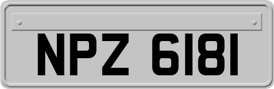 NPZ6181