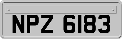 NPZ6183