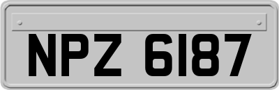 NPZ6187