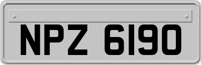 NPZ6190