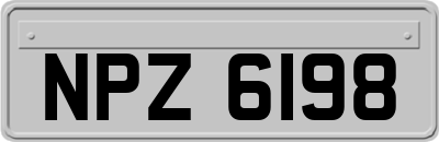 NPZ6198