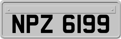 NPZ6199