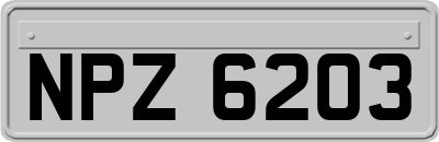 NPZ6203