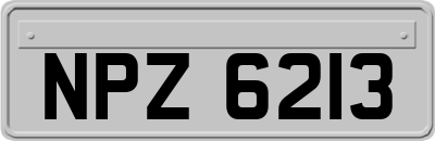 NPZ6213