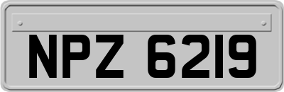 NPZ6219