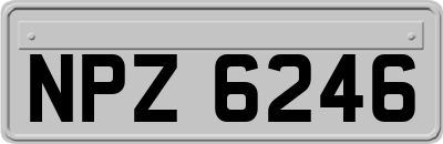 NPZ6246