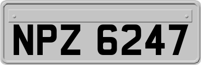 NPZ6247