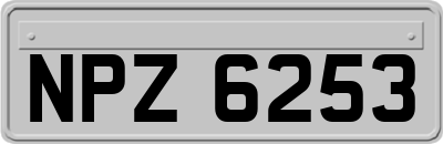 NPZ6253