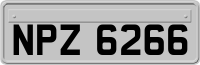 NPZ6266