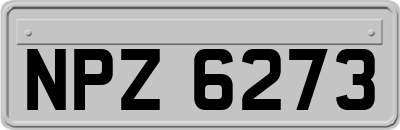 NPZ6273