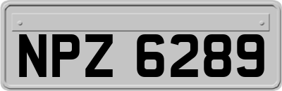 NPZ6289