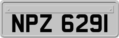 NPZ6291