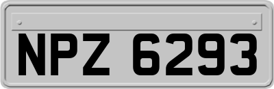 NPZ6293