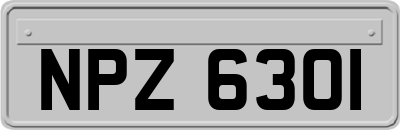 NPZ6301
