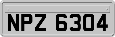 NPZ6304