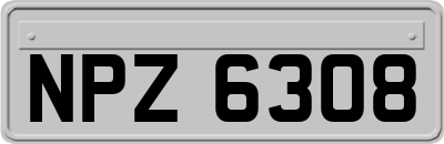 NPZ6308