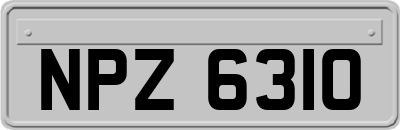 NPZ6310