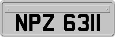 NPZ6311