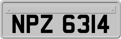 NPZ6314