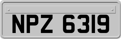 NPZ6319