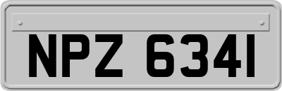 NPZ6341