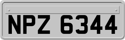 NPZ6344