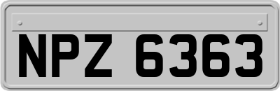 NPZ6363