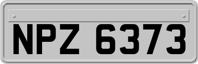 NPZ6373