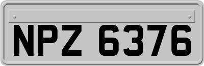 NPZ6376