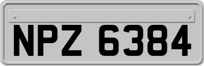 NPZ6384
