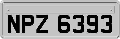 NPZ6393