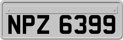 NPZ6399