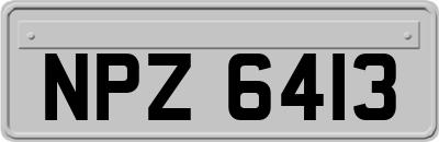 NPZ6413