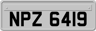 NPZ6419