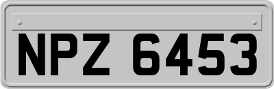 NPZ6453