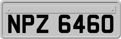 NPZ6460