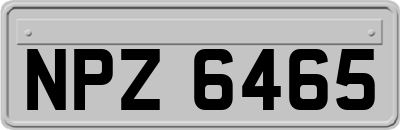 NPZ6465