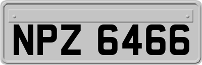 NPZ6466