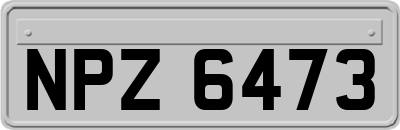 NPZ6473