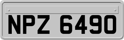 NPZ6490