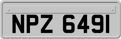 NPZ6491