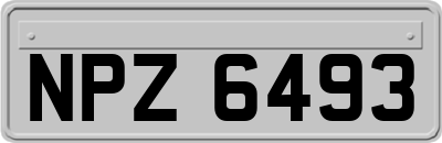 NPZ6493