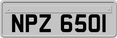 NPZ6501