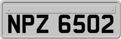 NPZ6502