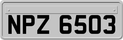 NPZ6503