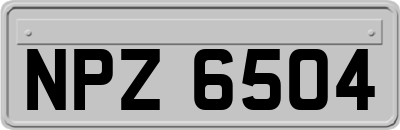 NPZ6504