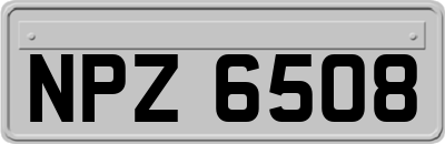 NPZ6508