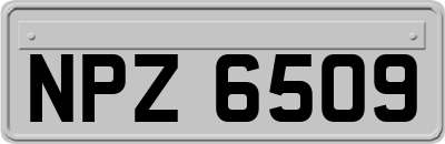 NPZ6509