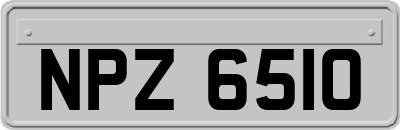NPZ6510